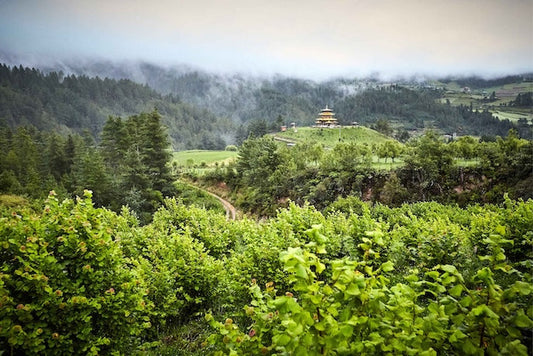 Landscape of Buthan with a temple in the background.