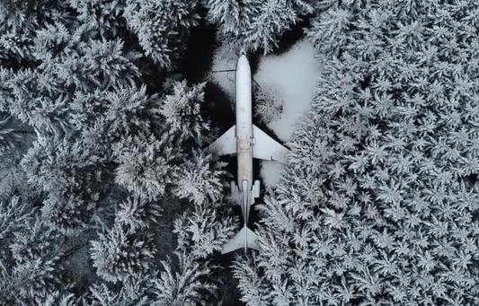 L'histoire fascinante du vieil homme dans l'avion - NIKIN CH