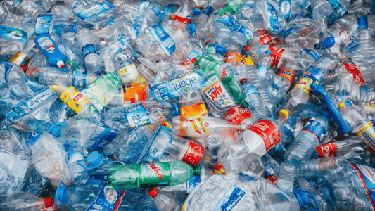 Ein Leben ohne Plastik – und die Alternativen - NIKIN CH