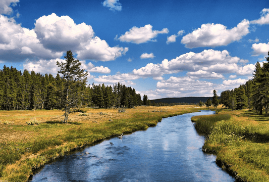 Rivers of the world - Habitat and transportation network - NIKIN CH