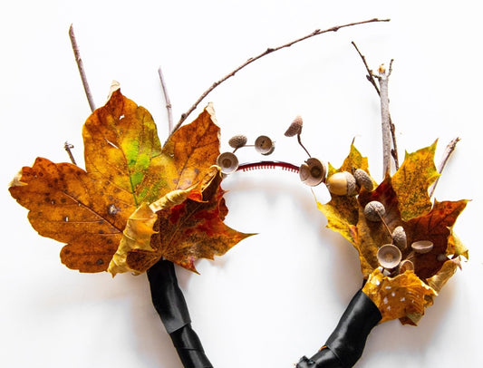 Costume d'Halloween : Zéro déchet, pas cher et très arborescent - NIKIN CH