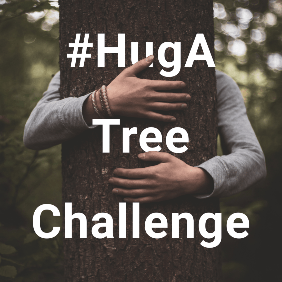 #HugATreeChallenge – Hilf mit, 100'000 Bäume zu pflanzen! - NIKIN CH