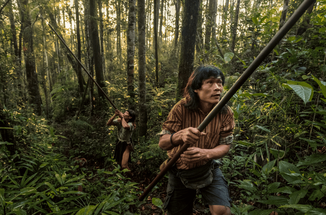 Vivre dans la forêt tropicale - les derniers Penan de Bornéo - NIKIN CH