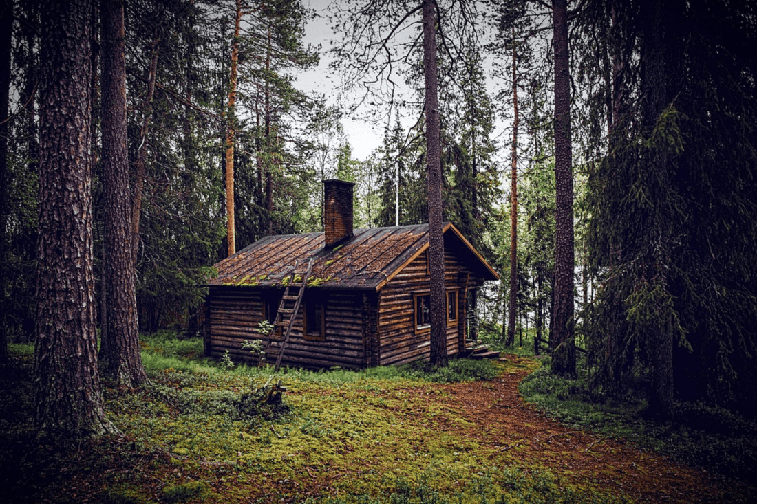 Les gens qui vivent dans la forêt - ermites modernes et marginaux - NIKIN CH