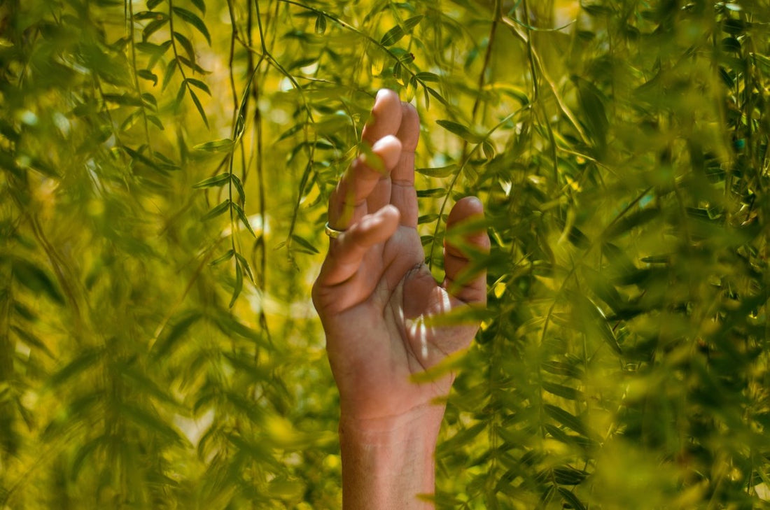 Measuring sustainability: These key figures make it possible - NIKIN CH