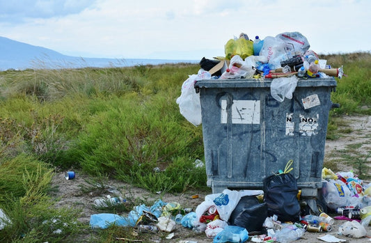 Recycling – was macht Sinn, wie geht es, was bringt es? - NIKIN CH