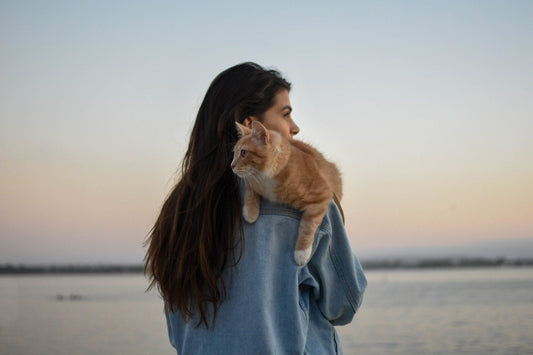 Un élevage de chats respectueux de l'environnement : plus facile qu'on ne le pense ! - NIKIN CH