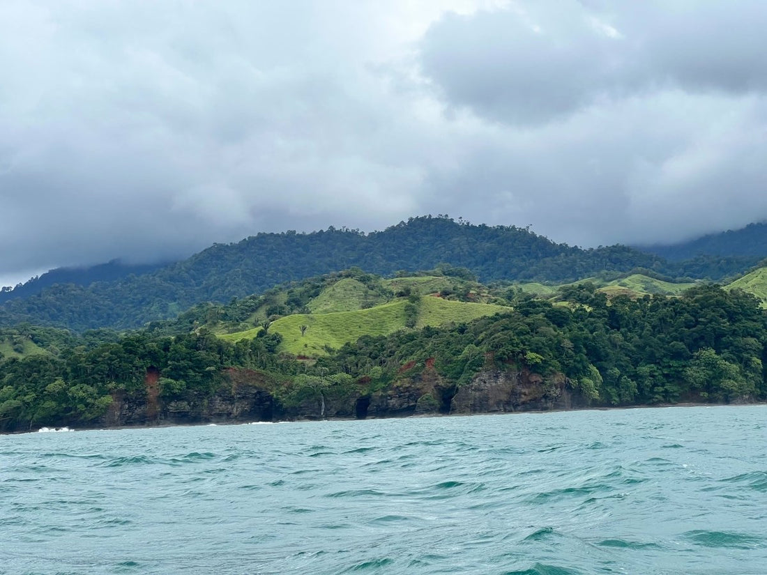 Our tree planting project in August: Panama - NIKIN CH