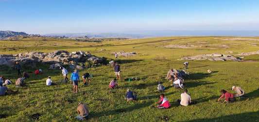 Our tree planting project in January: Argentina - NIKIN CH