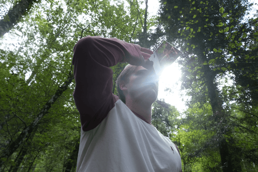 Bain de forêt ou Shinrin-Yoku : un témoignage - NIKIN CH