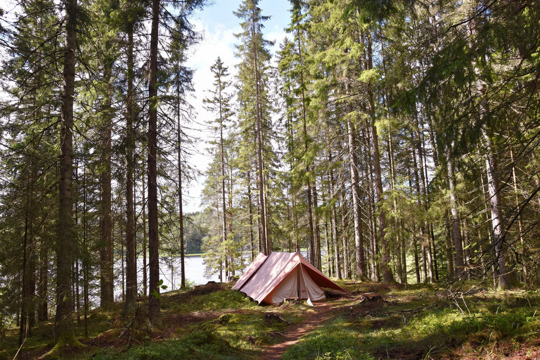 Une petite tente dans la forêt, au bord d'un lac