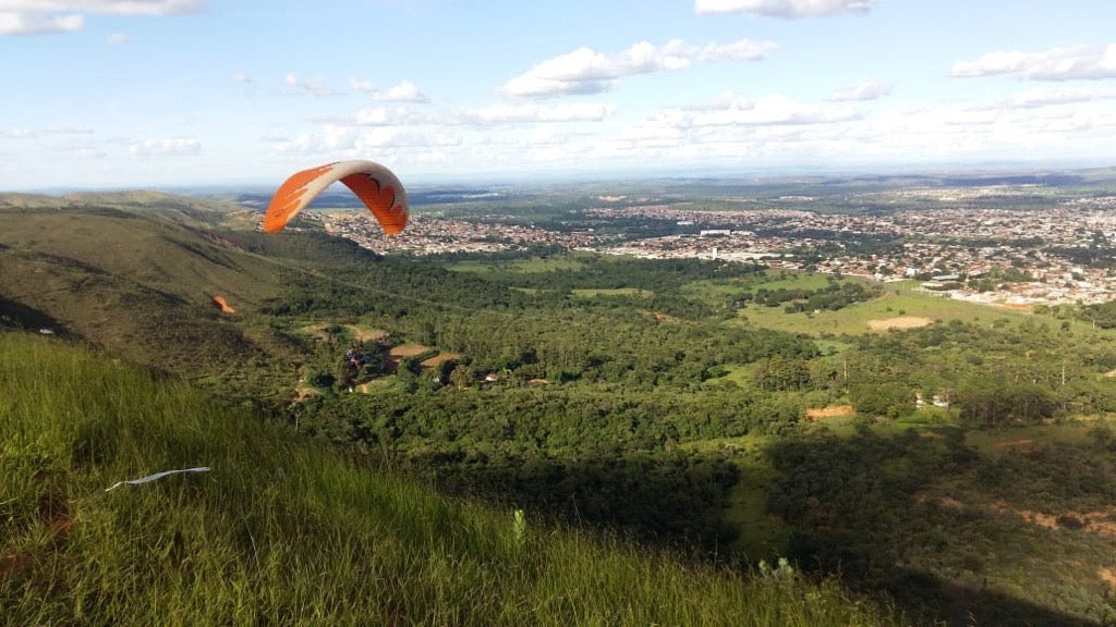 Unser Baumpflanzprojekt im Dezember und Januar liegt uns besonders am Herzen: Wiederaufforstung in Sete Lagoas, Brasilien