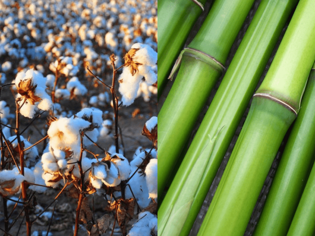 Coton bio contre bambou - et autres alternatives durables - NIKIN CH