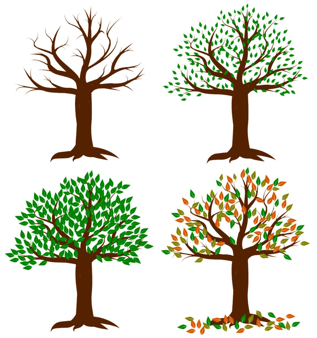 Nature in the course of the year: Why there are seasons - NIKIN CH