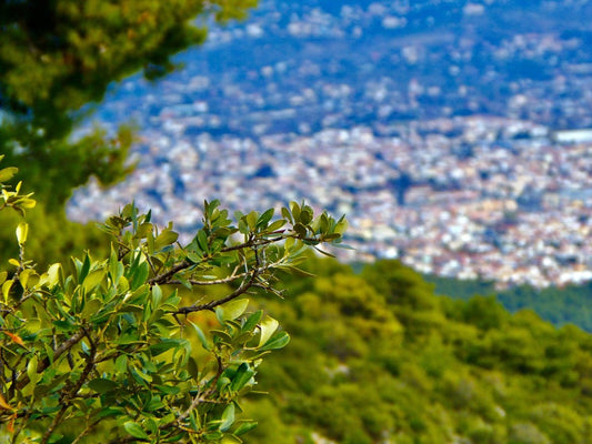 For city kids - tips for life in the urban jungle - NIKIN CH