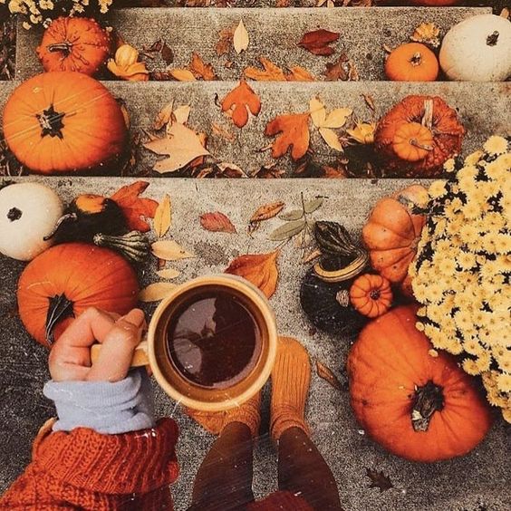 Ideas for autumn: how to make your home really cozy - NIKIN CH