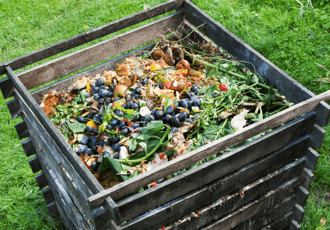 Compost : super nutriment à partir de déchets biologiques - NIKIN CH