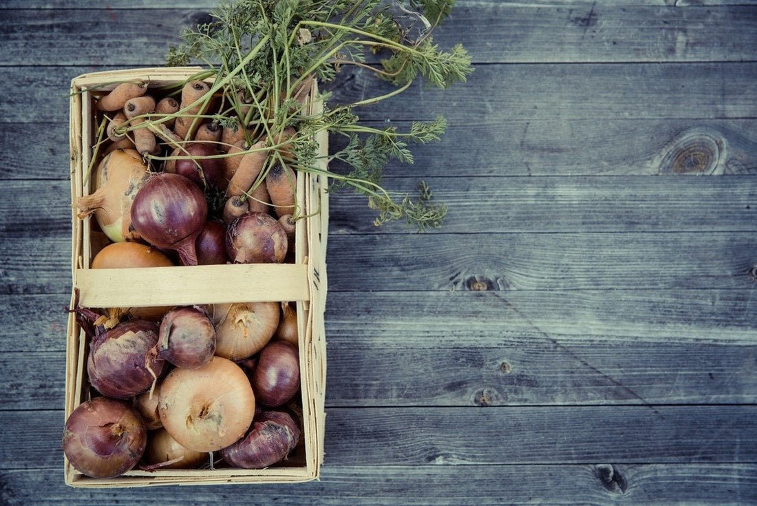 More sustainability in everyday life: join in! - NIKIN CH