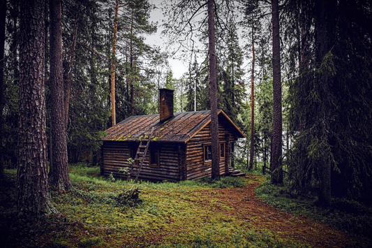 Les gens qui vivent dans la forêt - ermites modernes et marginaux - NIKIN CH