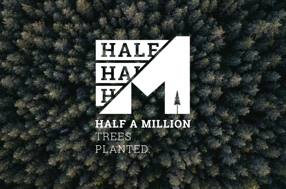 Nouvelle étape : un demi-million d'arbres plantés 🌲👑 - NIKIN CH