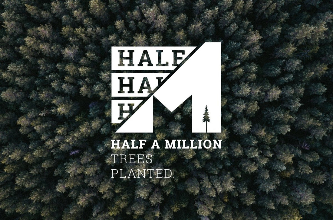 New milestone: half a million trees planted 🌲👑 - NIKIN
