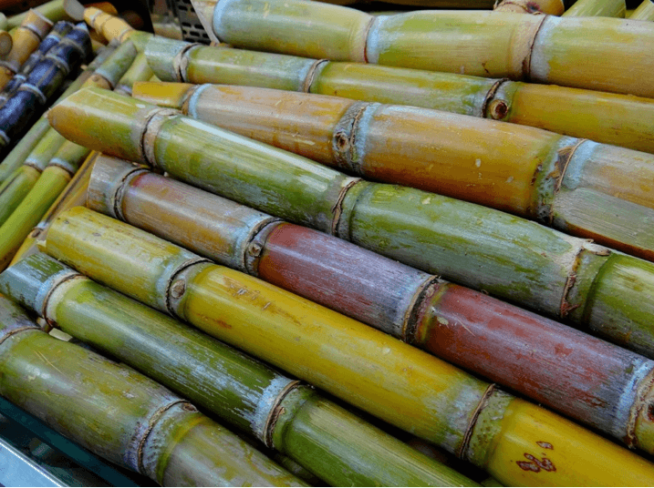 Paper made from sugar cane - guaranteed tree-free! - NIKIN CH