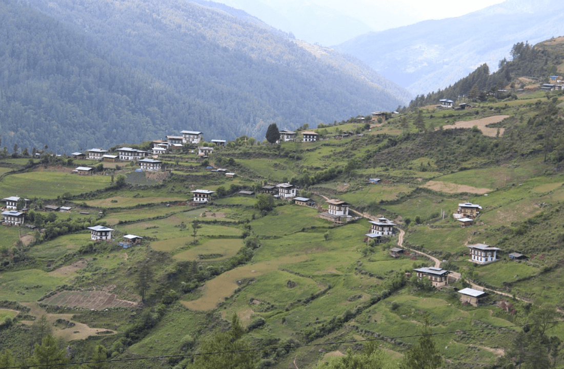 TreePlanting Mise à jour mars : Bhoutan - Fruits for All - NIKIN CH