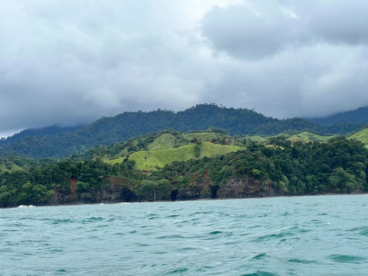 Our tree planting project in August: Panama - NIKIN CH