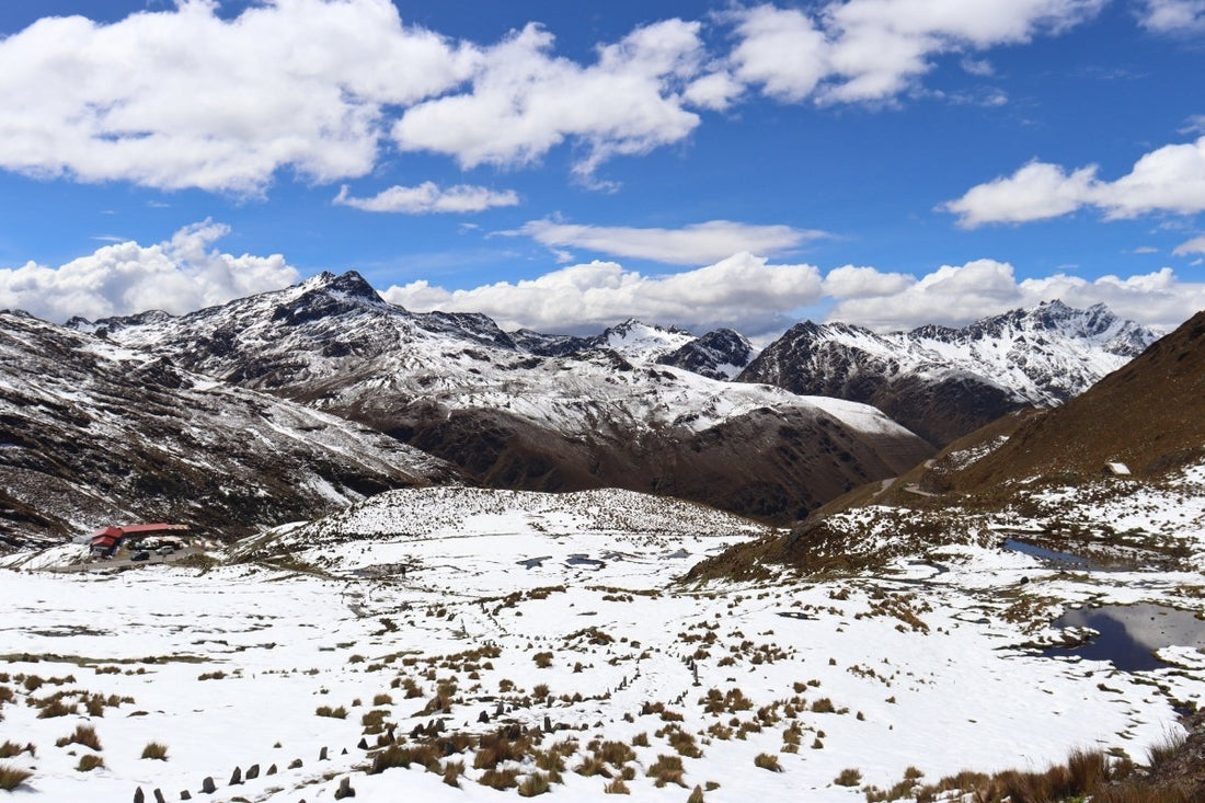 Notre projet de plantation d'arbres en février : Chaîne de montagnes des Andes - NIKIN CH
