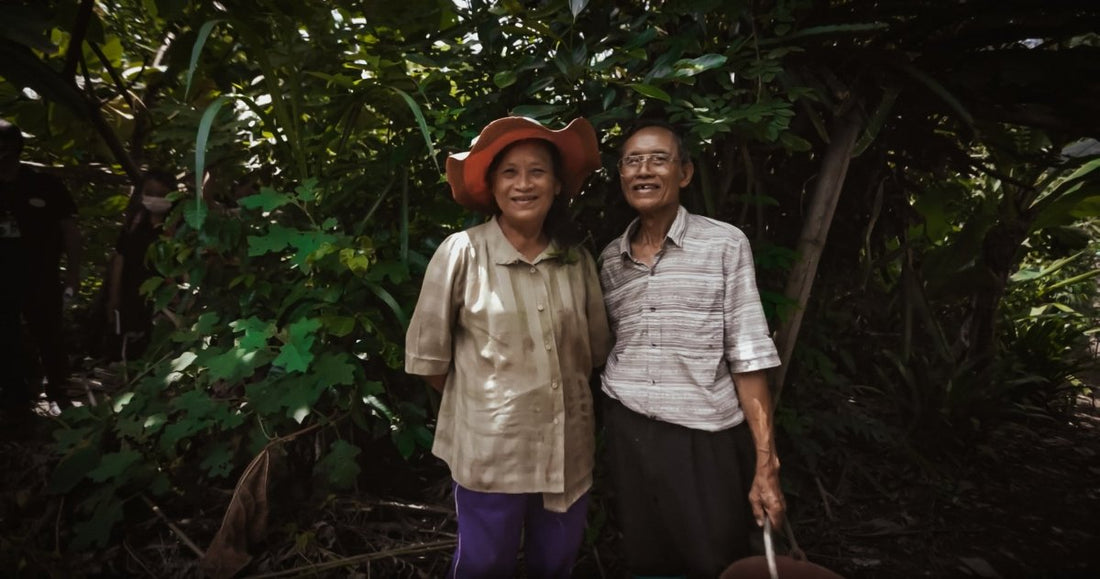 Notre projet de plantation d'arbres en juin : la sylviculture de Hilltribes en Thaïlande - NIKIN CH