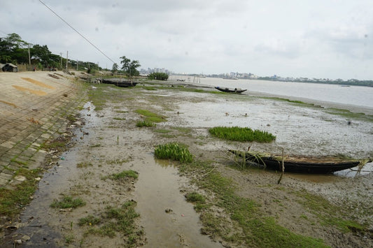 Our tree planting project in May: Bangladesh - NIKIN CH