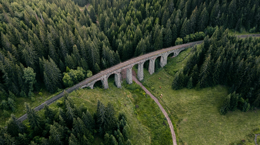 Bird's-eye view of a forest and a drawbridge.