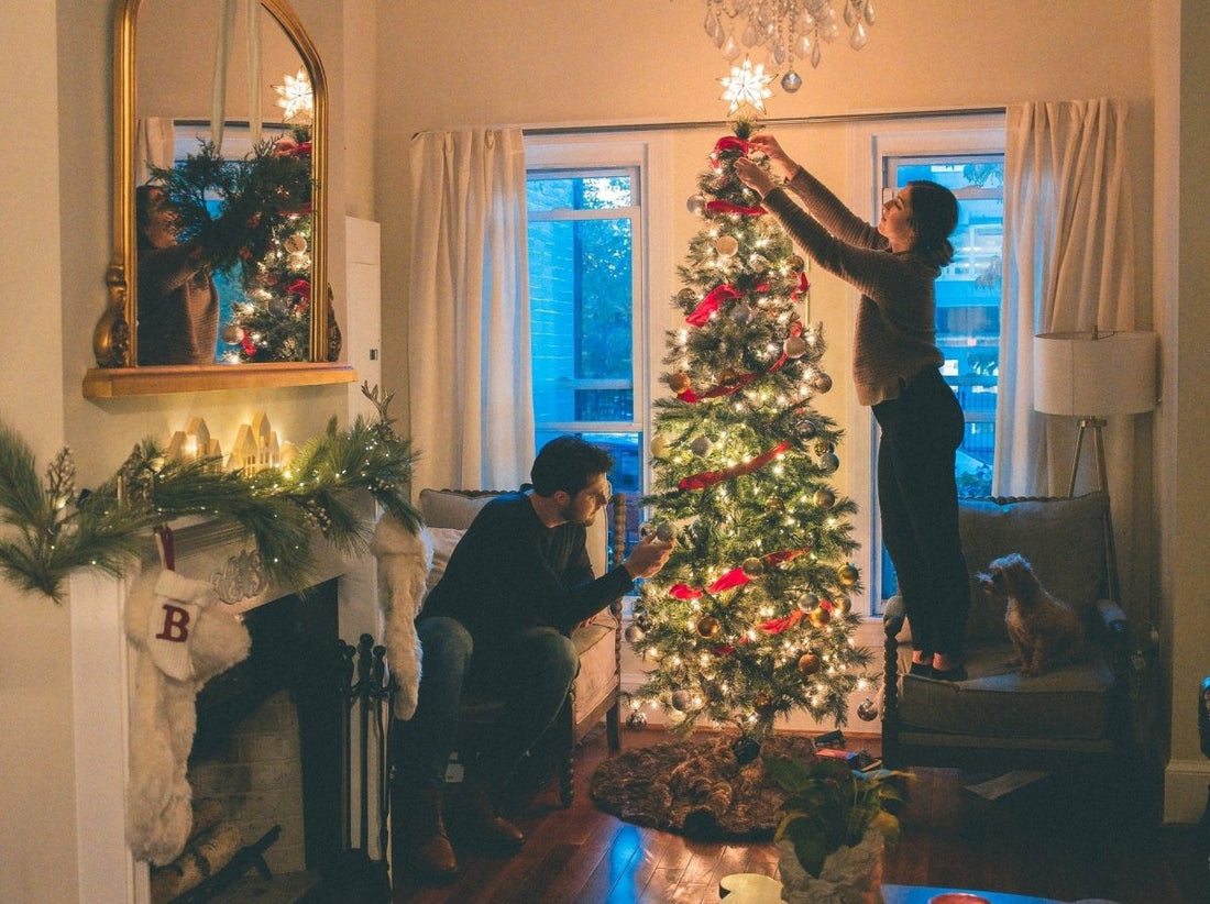 Noël 2022 : cette fois avec un sapin de Noël durable ? - NIKIN CH