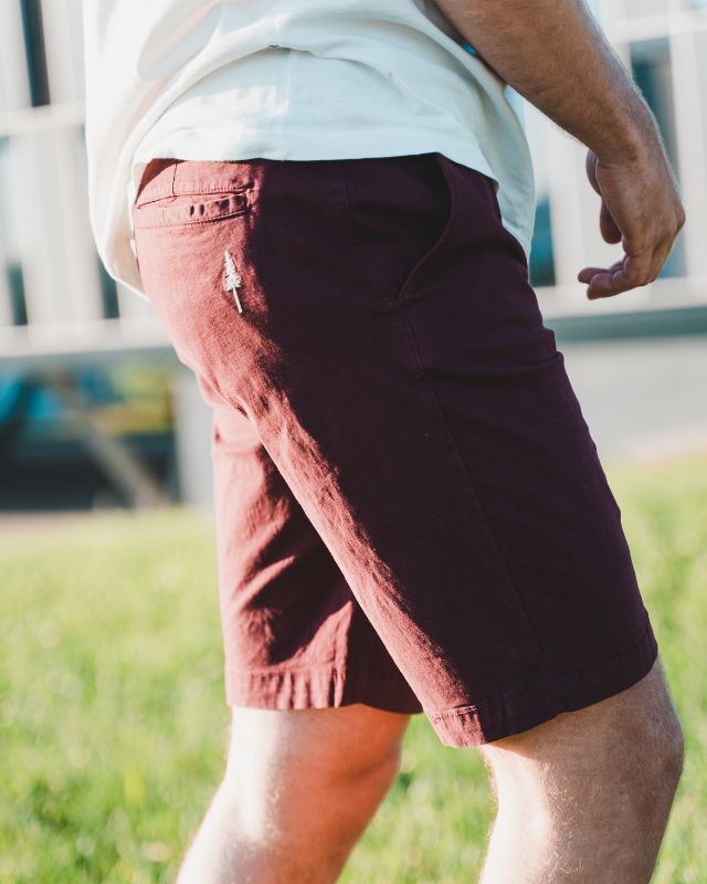 TreeShorts Chino Bordeaux