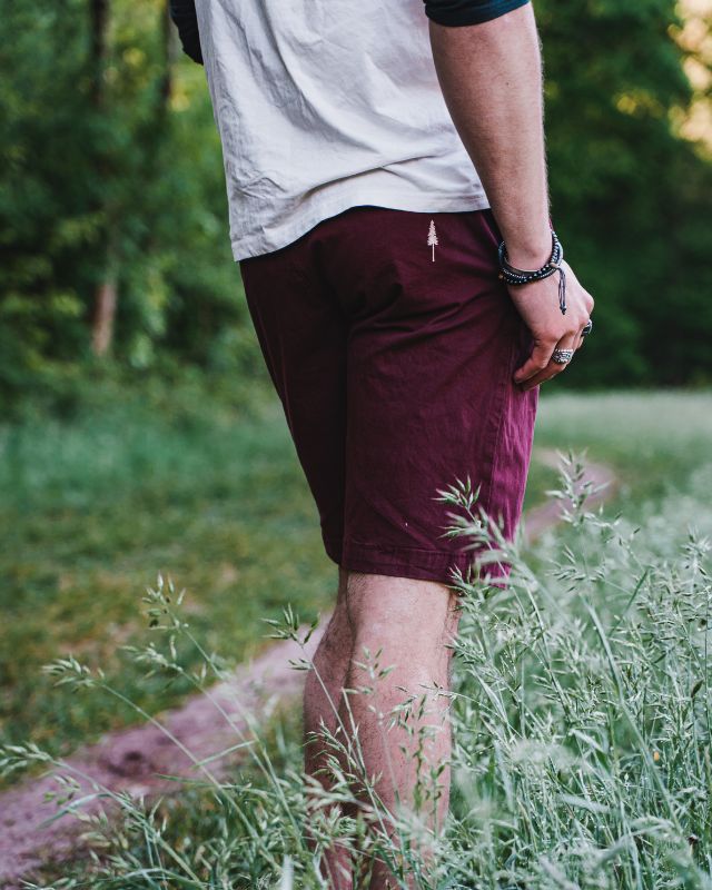 TreeShorts Chino Bordeaux