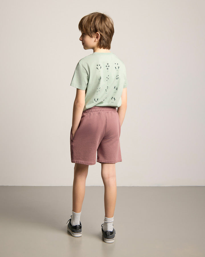 TreeShorts Kids Astrodust
