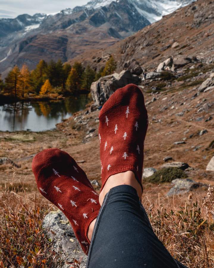 TreeSocks Short Allover Bordeaux - SOCKS - NIKIN