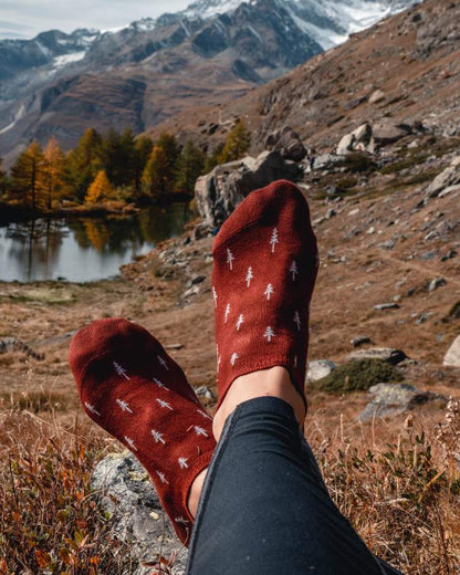 TreeSocks Short Allover Bordeaux - SOCKS - NIKIN